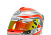 HELMET PAINT 148 ARAI GP6S